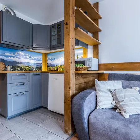 Krupówki I Styl Przy Krupówkach Apartament *